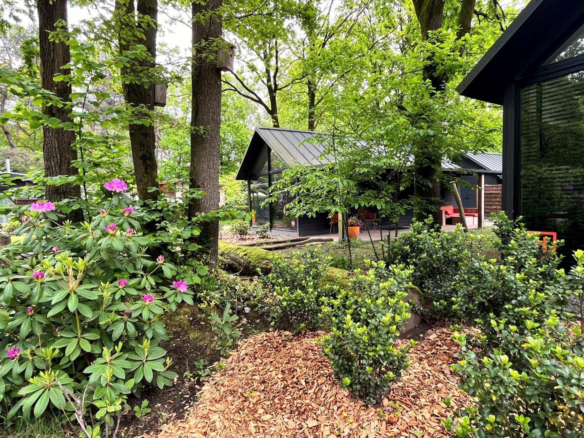 Cosy Tiny Lodges - Vakantiepark Kempenbos Diessen Exterior foto
